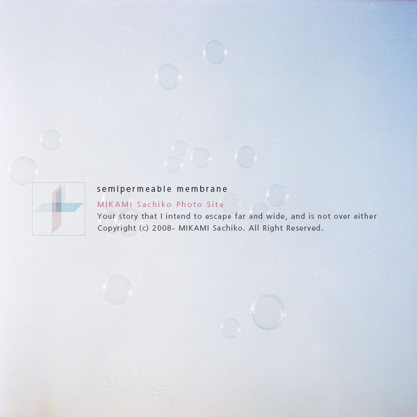 semipermeable membrane